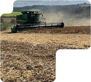 Site Multibelt DESM-11